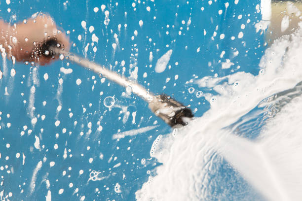 Best Dumpster Area Cleaning  in Lester Prairie, MN