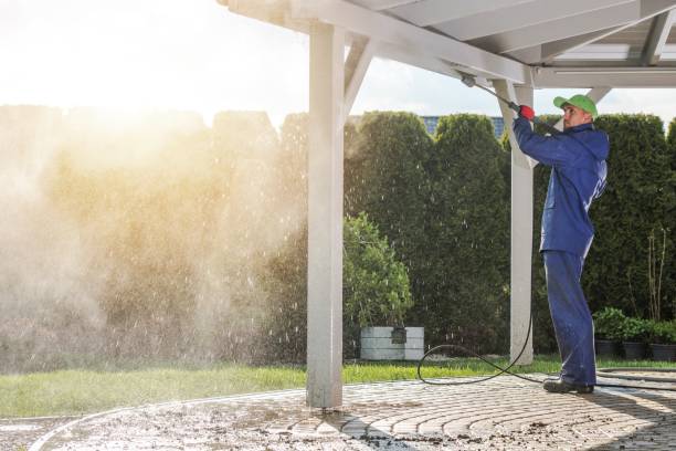 Best Concrete Sealing  in Lester Prairie, MN